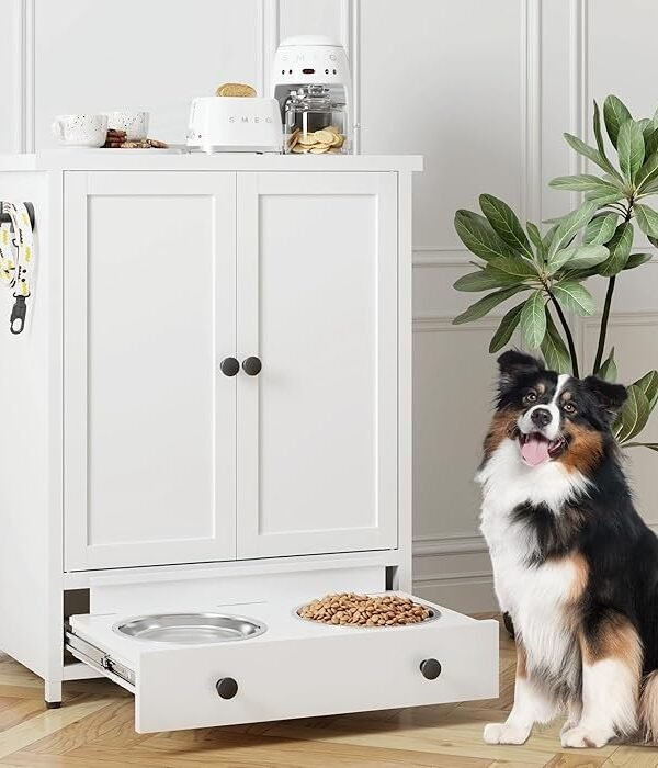Dog Feeding Station
