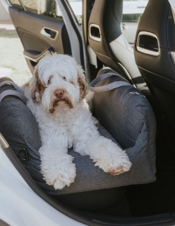 Premium Dog Car Bed