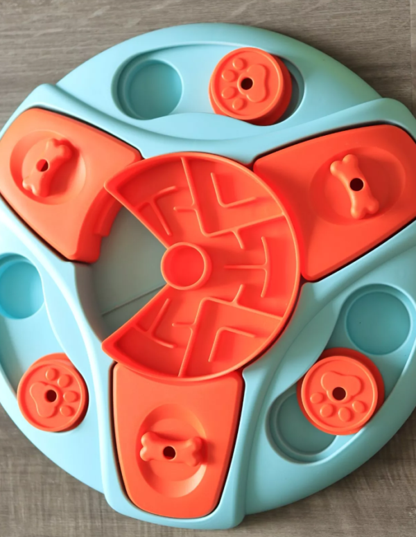 Brain Boosting Toys for Active Dogs