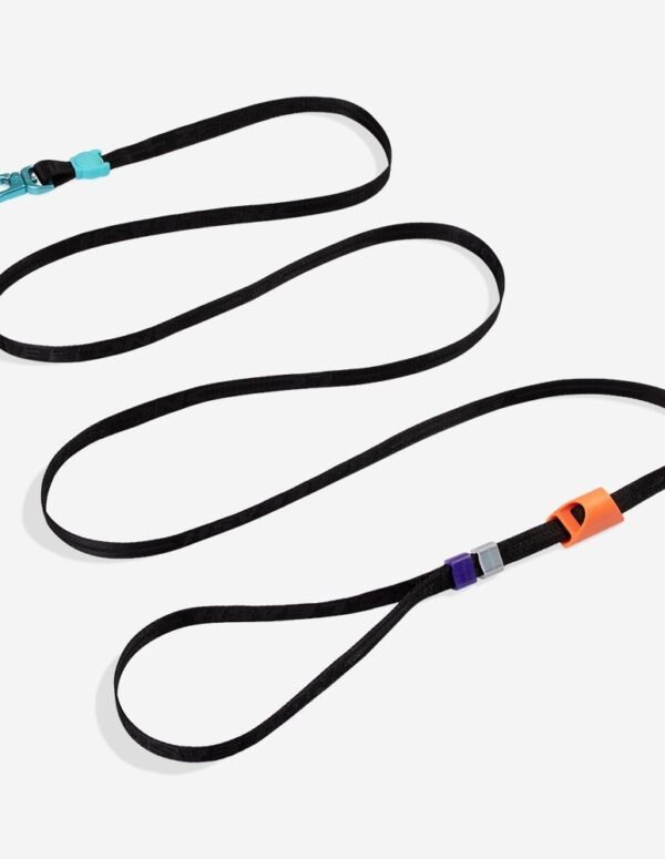 Segundo | Long Leash 2.0