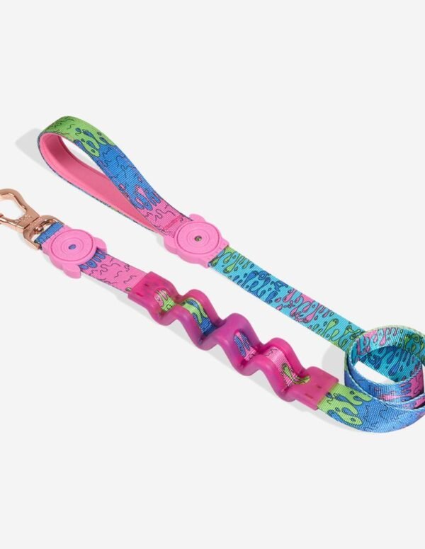 Melted | Ruff Leash 2.0