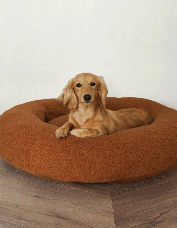 Premium Teddy Bed